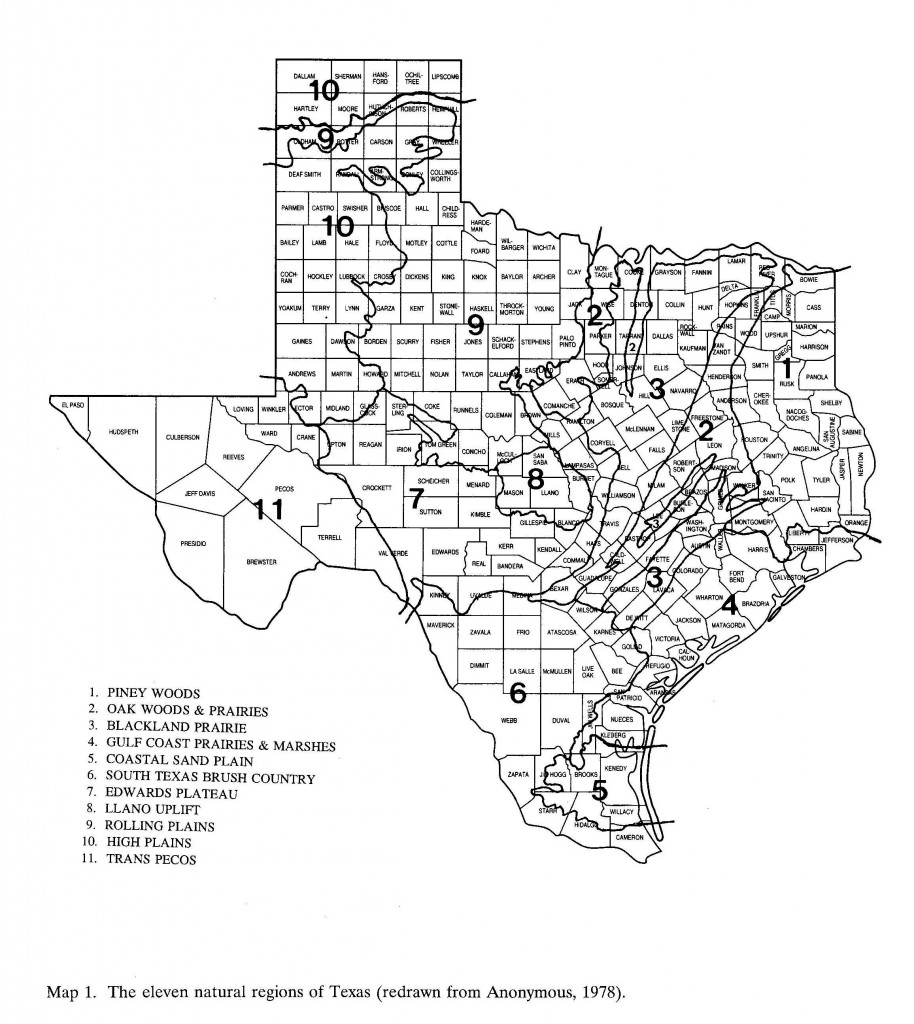 Species Diversity and Distribution | Bug Hunter